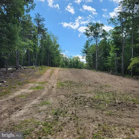 0 Broad Run, Brandywine, WV 26802 photo 36