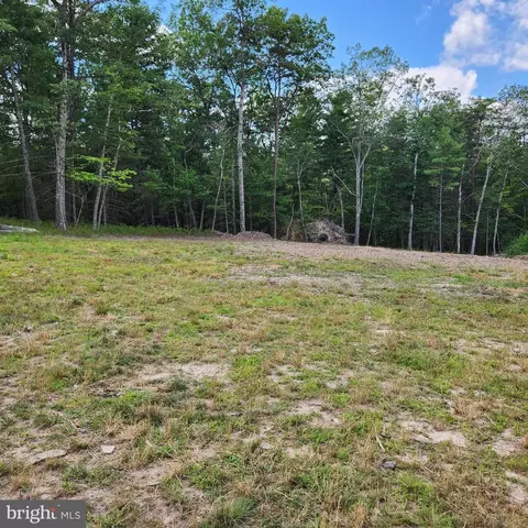 0 Broad Run, Brandywine, WV 26802 photo 32