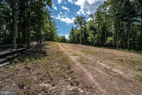 0 Broad Run, Brandywine, WV 26802 photo 16