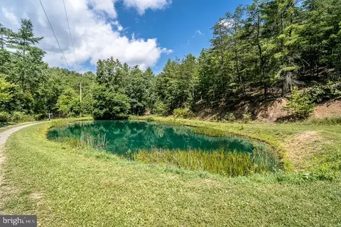 0 Broad Run, Brandywine, WV 26802 photo 25