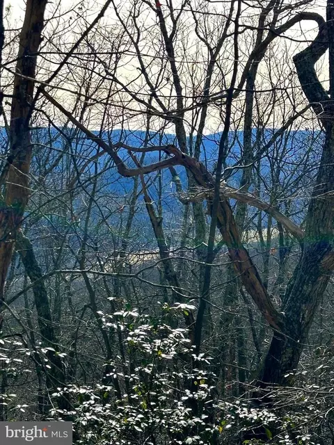 30 Old Oak Court, Franklin, WV 26807