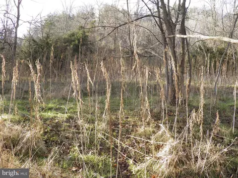 574 Jake Hill Rd, Upper Tract, WV 26866 photo 27