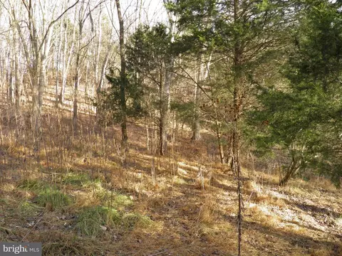 574 Jake Hill Rd, Upper Tract, WV 26866 photo 29