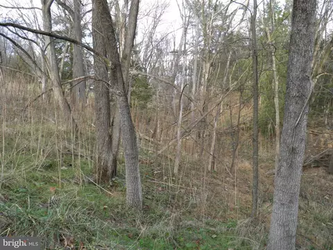 574 Jake Hill Rd, Upper Tract, WV 26866 photo 8
