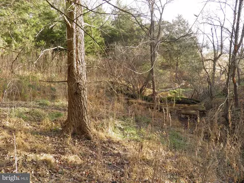 574 Jake Hill Rd, Upper Tract, WV 26866 photo 30