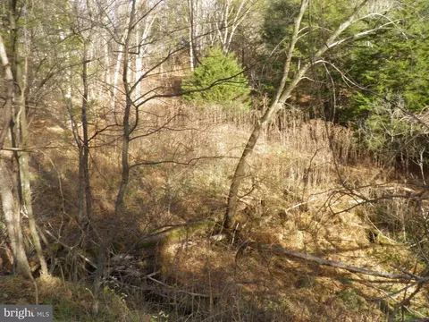 574 Jake Hill Rd, Upper Tract, WV 26866 photo 6