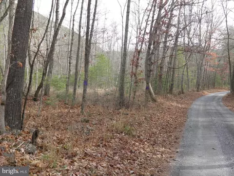 Camp Run Road, Fort Seybert, WV 26802