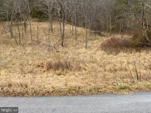 354 Turkey Ridge Rd, Tract, WV 26866