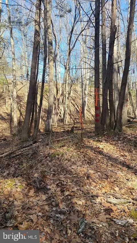 Williams Road, Franklin, WV 26807