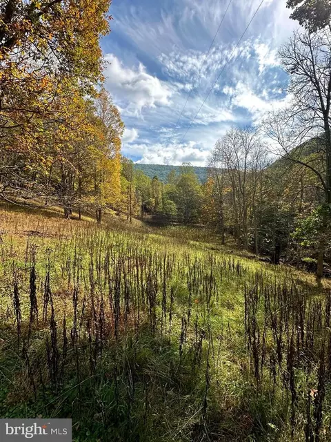 12 Acs Off Dry Run, Franklin, WV 26807