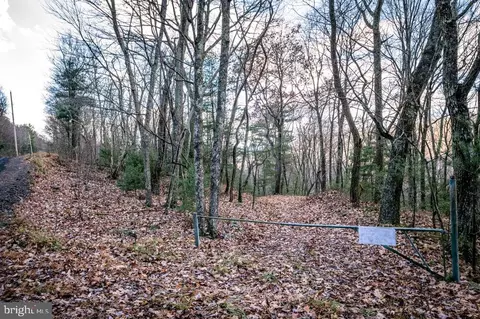 lot22 Buck Ridges Rd, Franklin, WV 26807