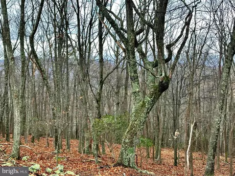 lot32 Boonedock Dr, Tract, WV 26866