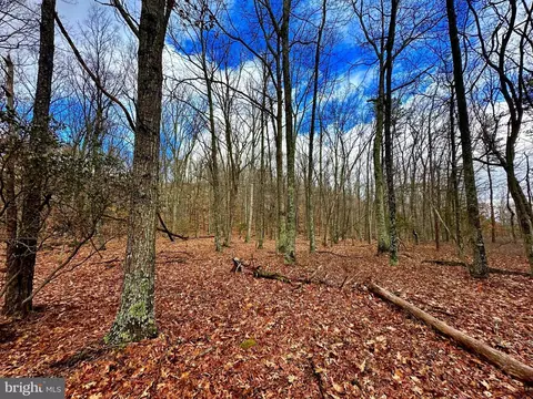 lot30 31 Boonedock Rd, Tract, WV 26866