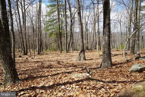 Other - 741 Loop Rd, Franklin, WV 26807 photo 35 of 39