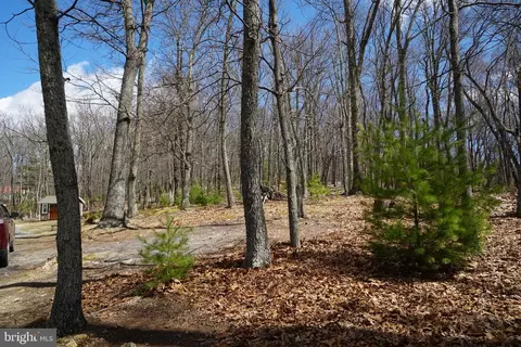 Other - 741 Loop Rd, Franklin, WV 26807 photo 38 of 39
