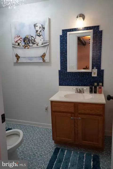 Bath - 741 Loop Rd, Franklin, WV 26807 photo 6 of 6