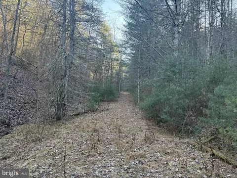 Buck Hill Lane, Sugar Grove, WV 26815