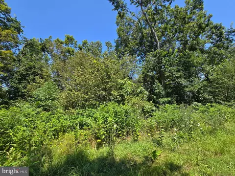 lot24 Stone Fly Ln, Sugar Grove, WV 26815