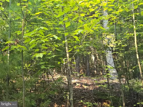 lot27 Native Trout Ln, Sugar Grove, WV 26815