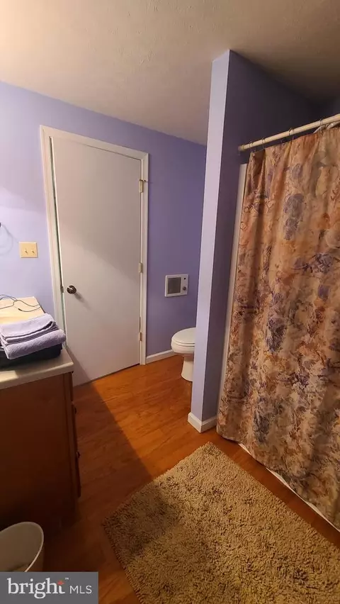 1725 Loop Rd, Franklin, WV 26807 photo 37