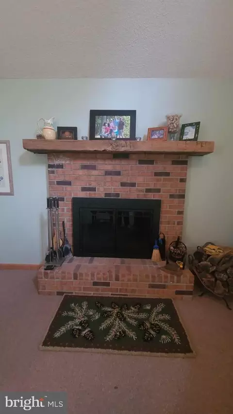 1725 Loop Rd, Franklin, WV 26807 photo 10