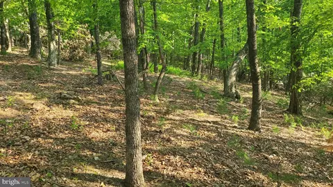 1725 Loop Rd, Franklin, WV 26807 photo 47