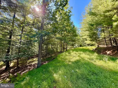 164 Eldon Hts, Franklin, WV 26807 photo 22