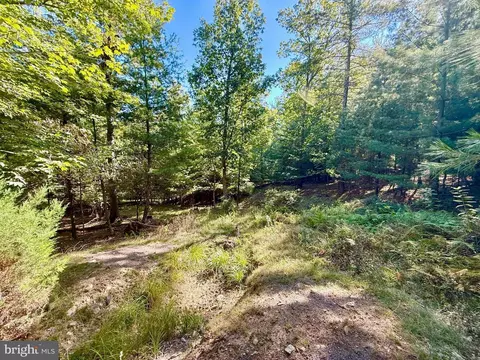 164 Eldon Hts, Franklin, WV 26807 photo 9