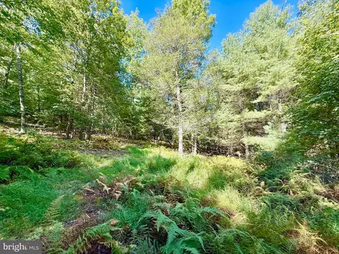 164 Eldon Hts, Franklin, WV 26807 photo 17