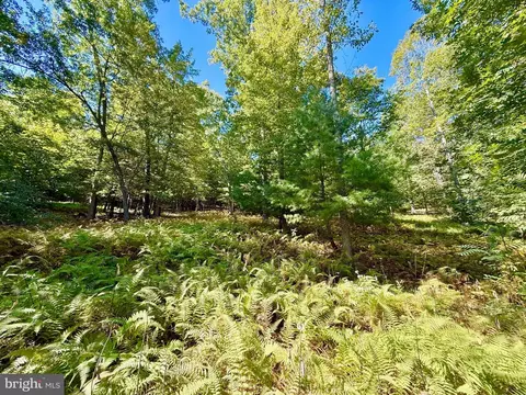 164 Eldon Hts, Franklin, WV 26807 photo 19