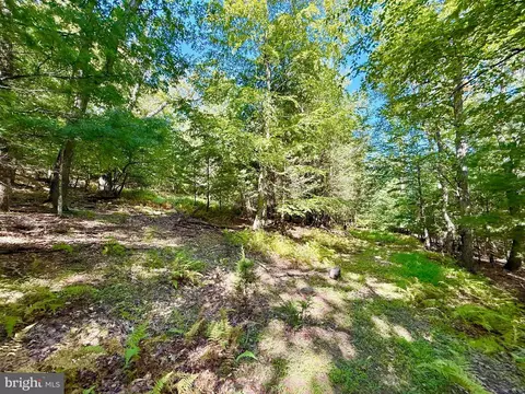 164 Eldon Hts, Franklin, WV 26807 photo 16