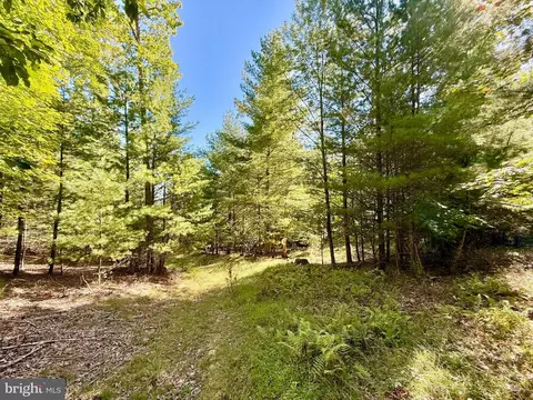 164 Eldon Hts, Franklin, WV 26807 photo 8
