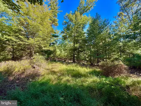 164 Eldon Hts, Franklin, WV 26807 photo 6
