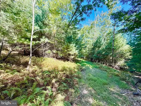 164 Eldon Hts, Franklin, WV 26807 photo 15