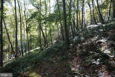 Other - 1453 Dry Run Rd, Franklin, WV 26807 photo 21 of 23