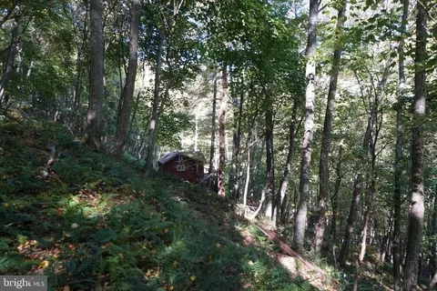 Exterior - 1453 Dry Run Rd, Franklin, WV 26807 photo 10 of 10