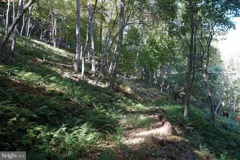 Other - 1453 Dry Run Rd, Franklin, WV 26807 photo 22 of 23