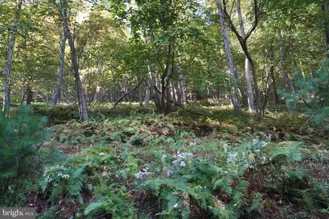Other - 1453 Dry Run Rd, Franklin, WV 26807 photo 20 of 23