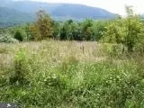 lot Apt 2 Bluebird Ln, Franklin, WV 26807