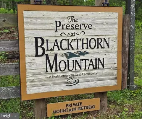 Native Trout Drive, Sugar Grove, WV 26815