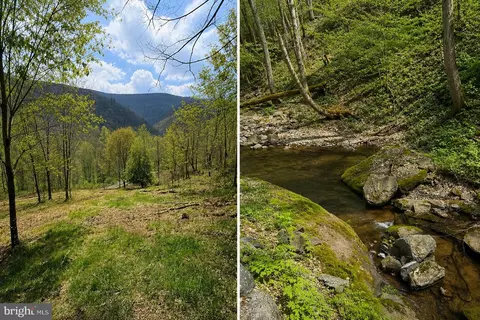 Tract A-30.82 Acs Straders Run Road, Seneca Rocks, WV 26884