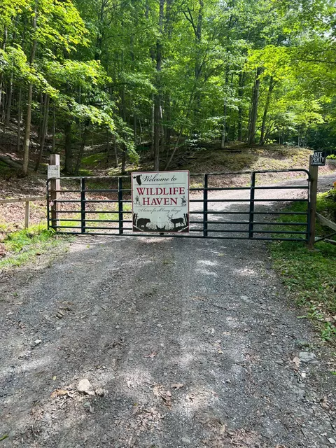 Edgar Lane, Upper Tract, WV 26866