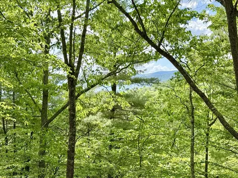 Deer Crossing Trail, Franklin, WV 26807
