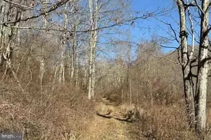 lot5 3453 Acres Lick Crk, Green Sulphur Springs, WV 25966