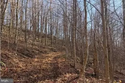 lot5 3453 Acres Lick Crk, Green Sulphur Springs, WV 25966