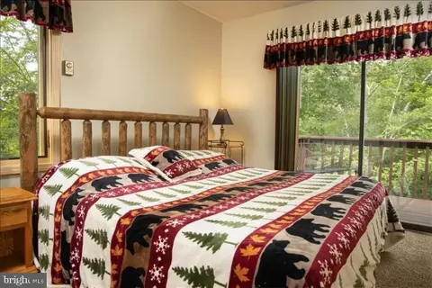 Bedroom - 293 Brookside Rd, Davis, WV 26260 photo 2 of 5