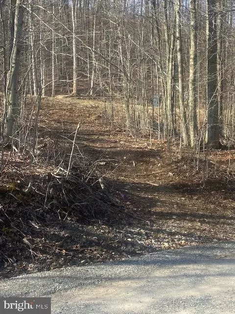 Other - 293 Brookside Rd, Davis, WV 26260 photo 4 of 4