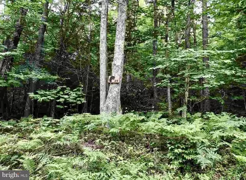 25 Black Bear Trl, Davis, WV 26260