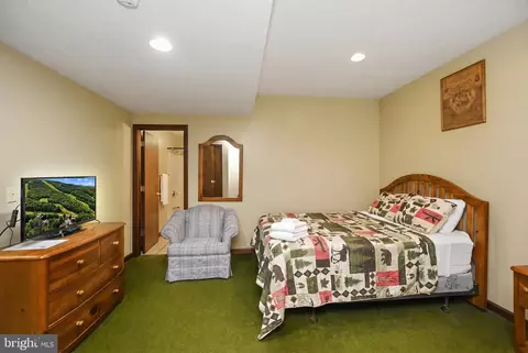 Bedroom - 330 Slopeside Rd, Davis, WV 26260 photo 9 of 10