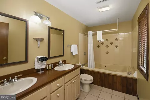 Bath - 330 Slopeside Rd, Davis, WV 26260 photo 2 of 5